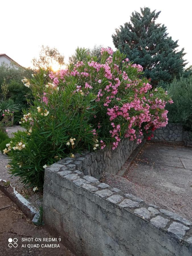 Sveti Ivan Dobrinjski Apartman Kacic מראה חיצוני תמונה